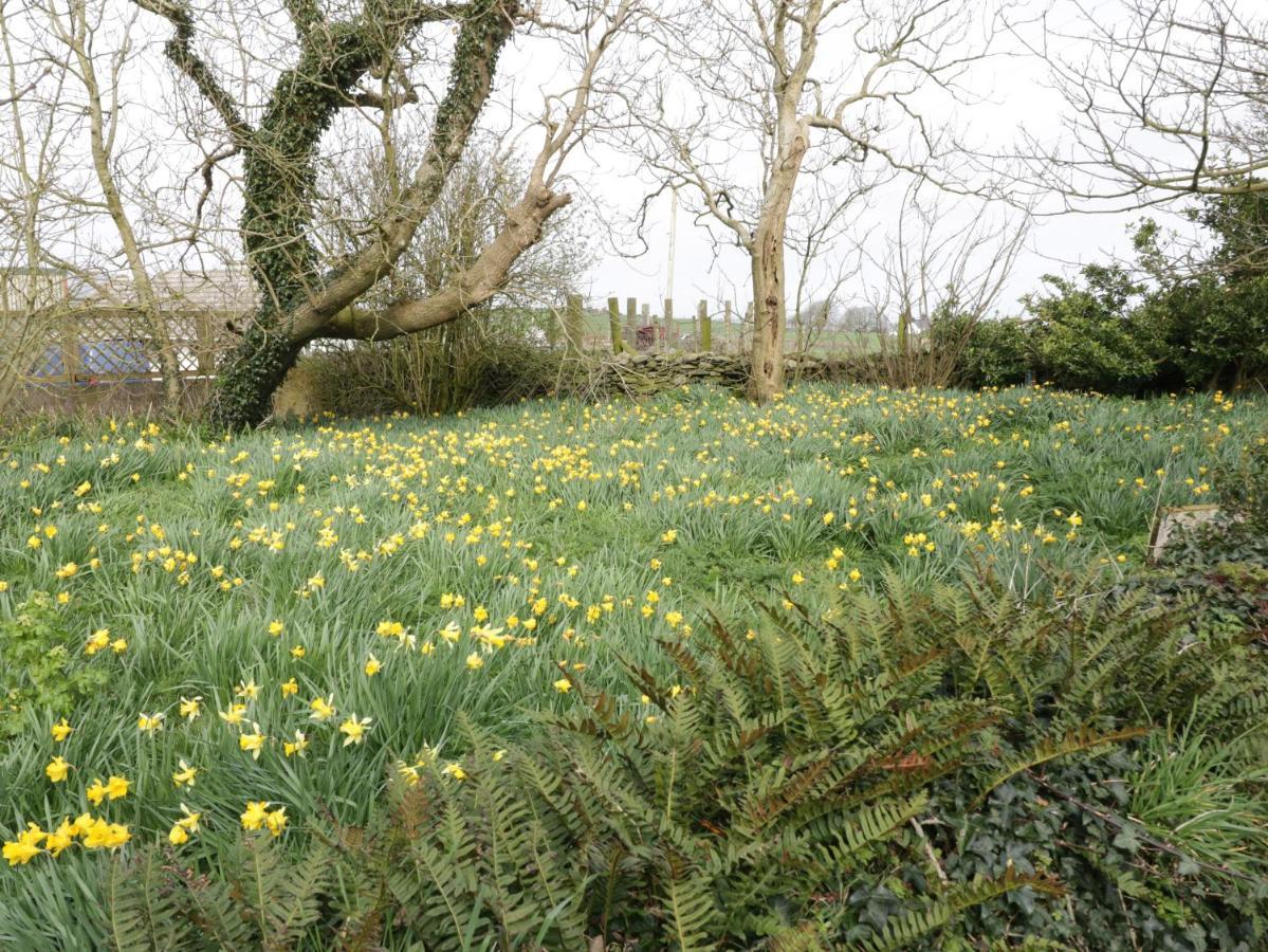 Bodegri Cottage Llanfflewyn Luaran gambar