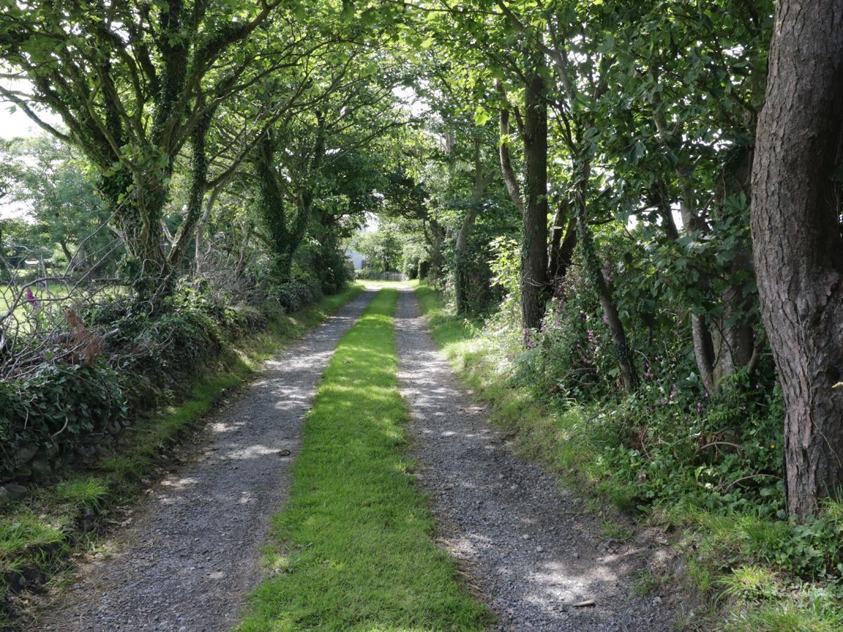 Bodegri Cottage Llanfflewyn Luaran gambar